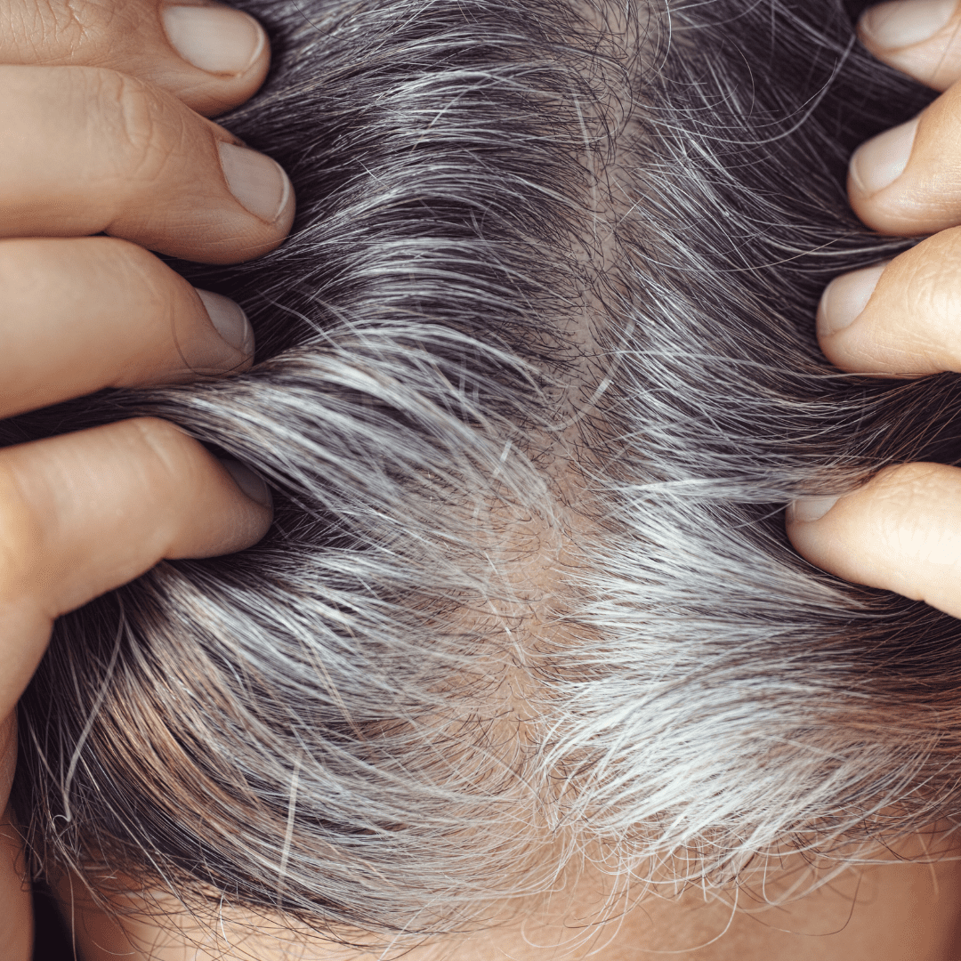 Grey Hair Coverage 3